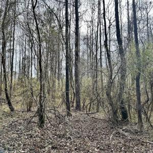 Photo #33 of SOLD property in Off McDougald Rd, Lillington, NC 10.5 acres