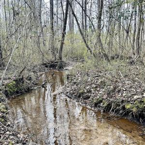 Photo #34 of SOLD property in Off McDougald Rd, Lillington, NC 10.5 acres
