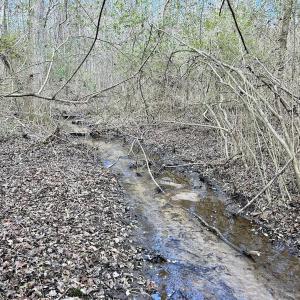 Photo #36 of SOLD property in Off McDougald Rd, Lillington, NC 10.5 acres