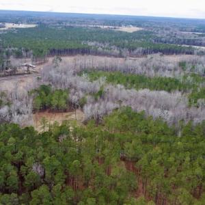 Photo #4 of SOLD property in Off McDougald Rd, Lillington, NC 10.5 acres