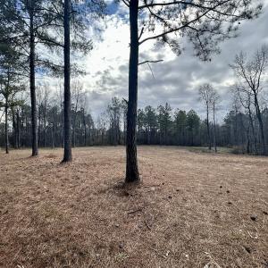 Photo #5 of SOLD property in Off McDougald Rd, Lillington, NC 10.5 acres