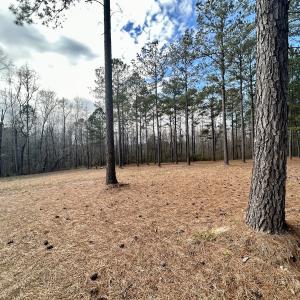 Photo #7 of SOLD property in Off McDougald Rd, Lillington, NC 10.5 acres