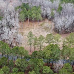 Photo #8 of SOLD property in Off McDougald Rd, Lillington, NC 10.5 acres