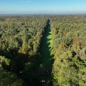 Photo #12 of SOLD property in Off Hwy 301, Halifax, NC 1,057.0 acres