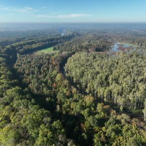 Photo #13 of SOLD property in Off Hwy 301, Halifax, NC 1,057.0 acres