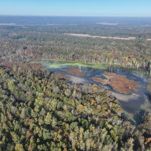 Photo #14 of SOLD property in Off Hwy 301, Halifax, NC 1,057.0 acres