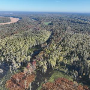 Photo #15 of SOLD property in Off Hwy 301, Halifax, NC 1,057.0 acres