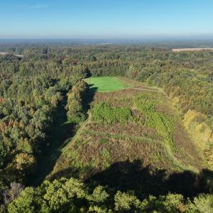 Photo #16 of SOLD property in Off Hwy 301, Halifax, NC 1,057.0 acres