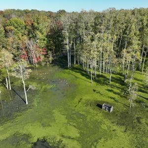Photo #17 of SOLD property in Off Hwy 301, Halifax, NC 1,057.0 acres