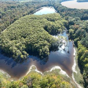 Photo #19 of SOLD property in Off Hwy 301, Halifax, NC 1,057.0 acres