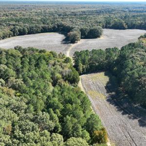 Photo #20 of SOLD property in Off Hwy 301, Halifax, NC 1,057.0 acres