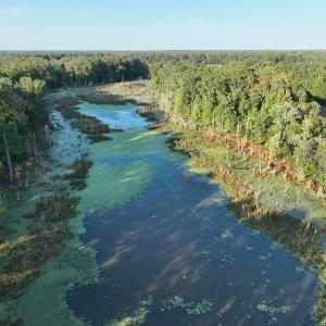 Photo #4 of SOLD property in Off Hwy 301, Halifax, NC 1,057.0 acres