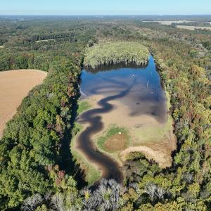 Photo #21 of SOLD property in Off Hwy 301, Halifax, NC 1,057.0 acres