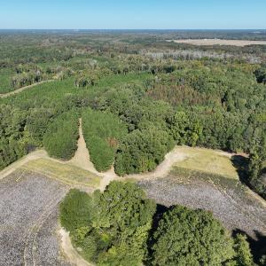 Photo #23 of SOLD property in Off Hwy 301, Halifax, NC 1,057.0 acres