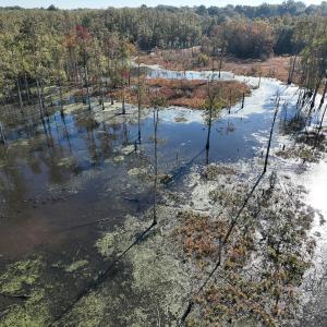 Photo #24 of SOLD property in Off Hwy 301, Halifax, NC 1,057.0 acres