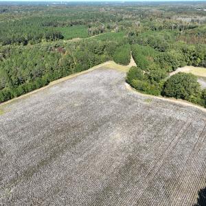 Photo #25 of SOLD property in Off Hwy 301, Halifax, NC 1,057.0 acres