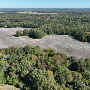 Photo #27 of SOLD property in Off Hwy 301, Halifax, NC 1,057.0 acres