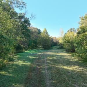 Photo #29 of SOLD property in Off Hwy 301, Halifax, NC 1,057.0 acres