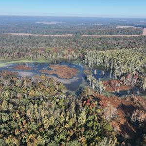 Photo #30 of SOLD property in Off Hwy 301, Halifax, NC 1,057.0 acres