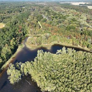 Photo #31 of SOLD property in Off Hwy 301, Halifax, NC 1,057.0 acres