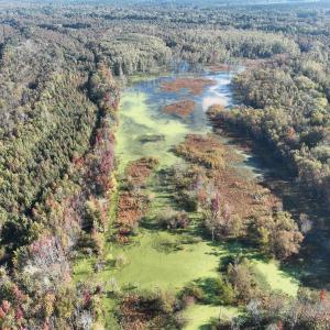 Photo #33 of SOLD property in Off Hwy 301, Halifax, NC 1,057.0 acres