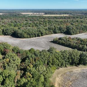 Photo #34 of SOLD property in Off Hwy 301, Halifax, NC 1,057.0 acres
