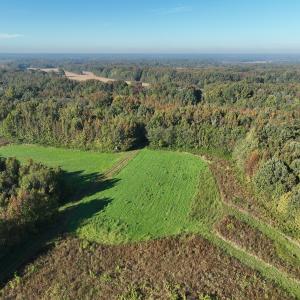 Photo #35 of SOLD property in Off Hwy 301, Halifax, NC 1,057.0 acres