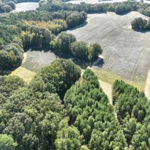 Photo #39 of SOLD property in Off Hwy 301, Halifax, NC 1,057.0 acres