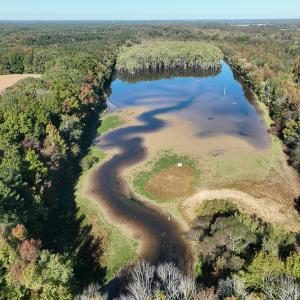 Photo #40 of SOLD property in Off Hwy 301, Halifax, NC 1,057.0 acres