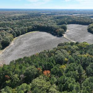 Photo #41 of SOLD property in Off Hwy 301, Halifax, NC 1,057.0 acres