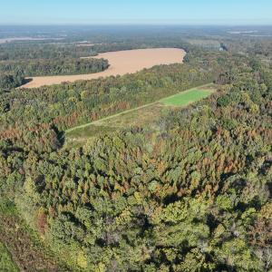 Photo #42 of SOLD property in Off Hwy 301, Halifax, NC 1,057.0 acres