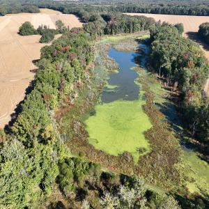 Photo #43 of SOLD property in Off Hwy 301, Halifax, NC 1,057.0 acres