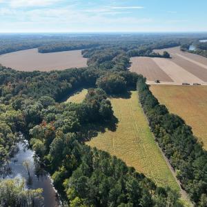 Photo #44 of SOLD property in Off Hwy 301, Halifax, NC 1,057.0 acres