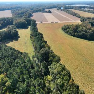 Photo #45 of SOLD property in Off Hwy 301, Halifax, NC 1,057.0 acres