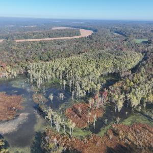 Photo #46 of SOLD property in Off Hwy 301, Halifax, NC 1,057.0 acres