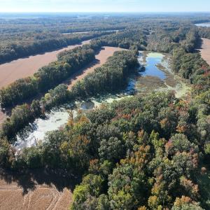 Photo #47 of SOLD property in Off Hwy 301, Halifax, NC 1,057.0 acres