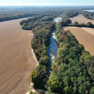Photo #48 of SOLD property in Off Hwy 301, Halifax, NC 1,057.0 acres