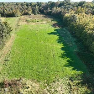 Photo #49 of SOLD property in Off Hwy 301, Halifax, NC 1,057.0 acres