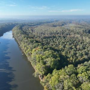Photo #51 of SOLD property in Off Hwy 301, Halifax, NC 1,057.0 acres