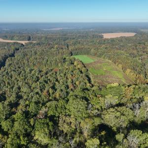 Photo #52 of SOLD property in Off Hwy 301, Halifax, NC 1,057.0 acres
