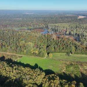 Photo #53 of SOLD property in Off Hwy 301, Halifax, NC 1,057.0 acres