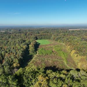 Photo #56 of SOLD property in Off Hwy 301, Halifax, NC 1,057.0 acres