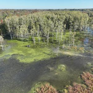 Photo #57 of SOLD property in Off Hwy 301, Halifax, NC 1,057.0 acres