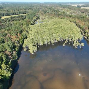Photo #60 of SOLD property in Off Hwy 301, Halifax, NC 1,057.0 acres