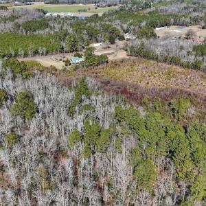 Photo #12 of SOLD property in 1520 Woodyard Rd, Rieglewood, NC 8.9 acres