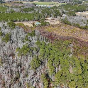 Photo #13 of SOLD property in 1520 Woodyard Rd, Rieglewood, NC 8.9 acres