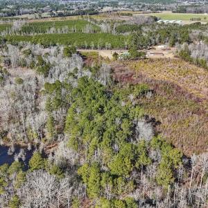 Photo #16 of SOLD property in 1520 Woodyard Rd, Rieglewood, NC 8.9 acres