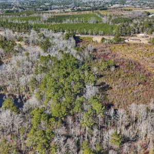 Photo #17 of SOLD property in 1520 Woodyard Rd, Rieglewood, NC 8.9 acres