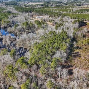 Photo #18 of SOLD property in 1520 Woodyard Rd, Rieglewood, NC 8.9 acres