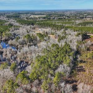 Photo #19 of SOLD property in 1520 Woodyard Rd, Rieglewood, NC 8.9 acres